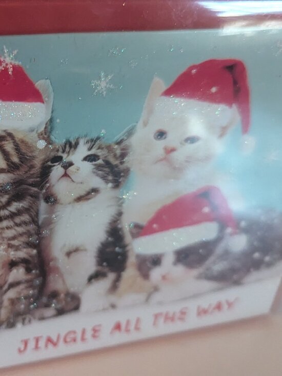 NWT 16 Kittens Santa Hats Christmas Holiday Cards American Greetings Sealed Box - Picture 4 of 6